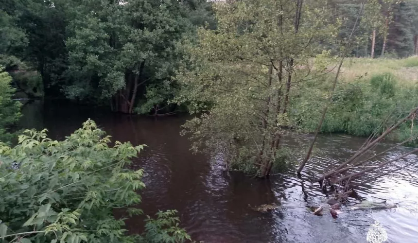 В Вологодской области утонул подросток, пытаясь спасти девочку 12 лет